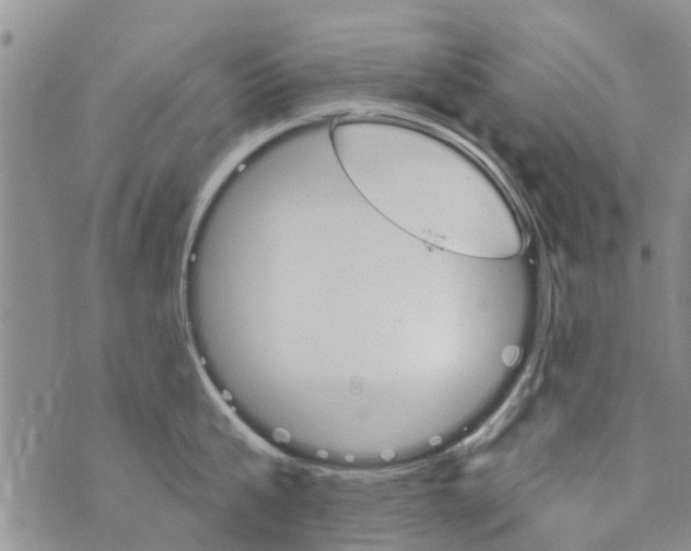 X0000073930807200609082301