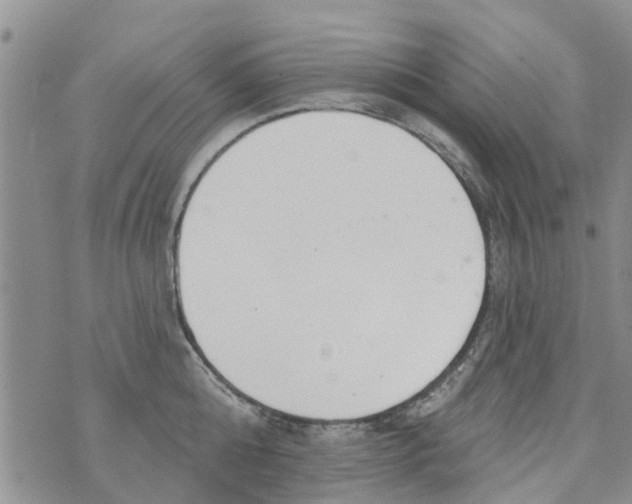 X0000073930808200609082301