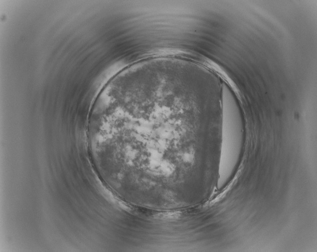 X0000073930810200609082301