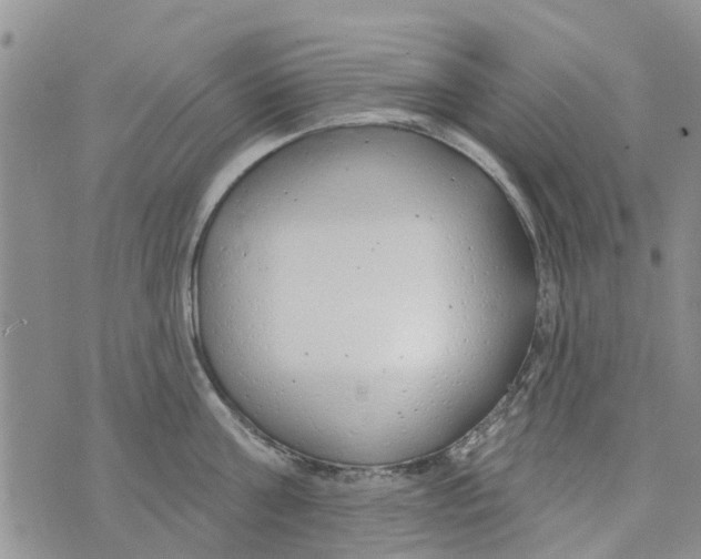 X0000073930811200609082301