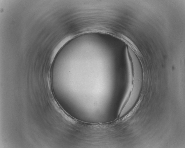 X0000073930812200609082301