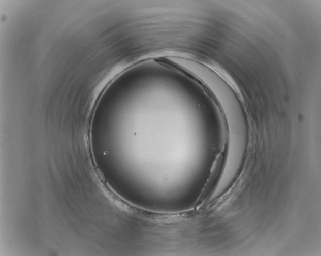 X0000073930813200609082301