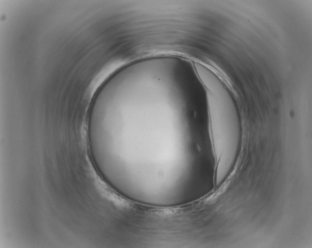 X0000073930814200609082301