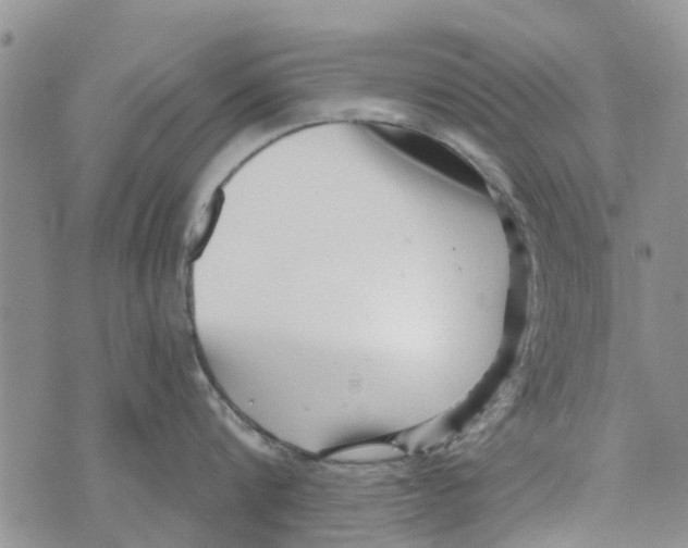 X0000073930816200609082301