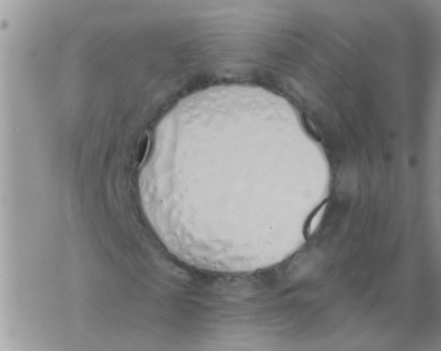 X0000073930817200609082300