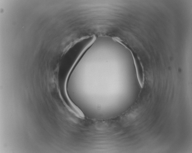 X0000073930818200609082300