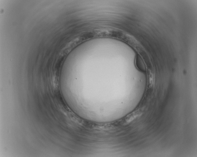 X0000073930819200609082300