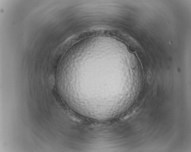 X0000073930821200609082300