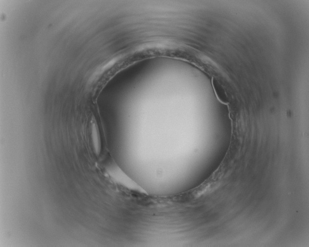 X0000073930822200609082300