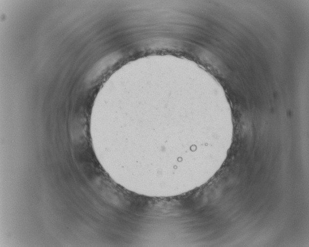 X0000073930824200609082300