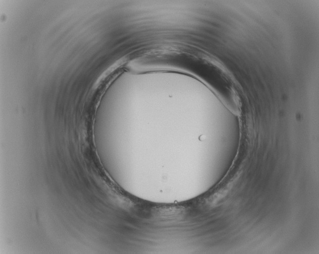 X0000073930826200609082301