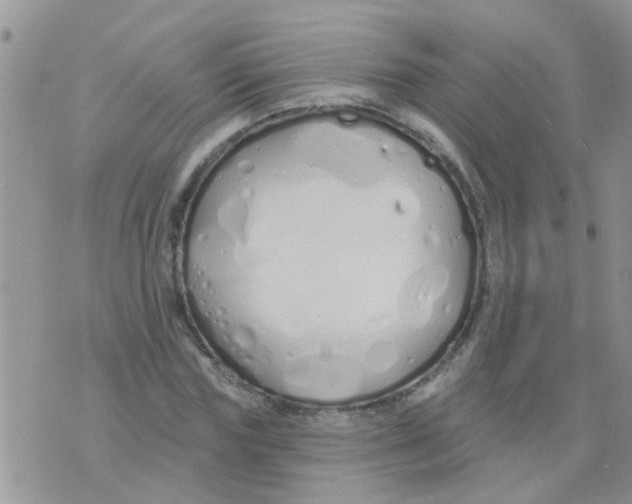 X0000073930827200609082301