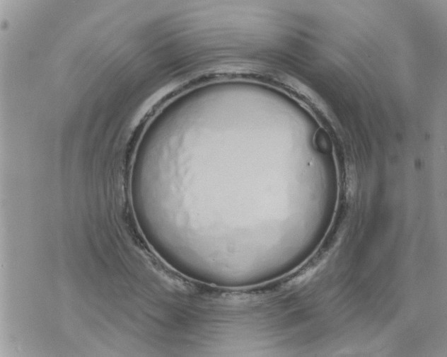 X0000073930829200609082301