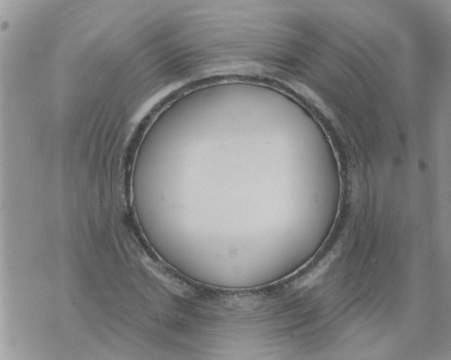 X0000073930830200609082301