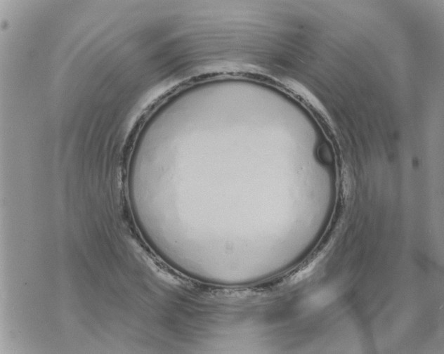 X0000073930831200609082301