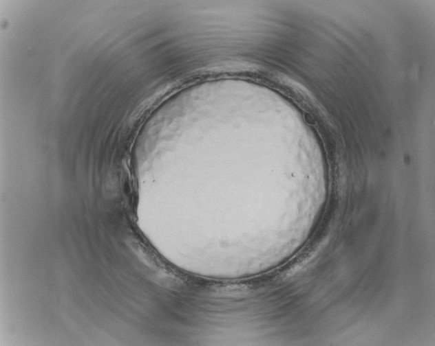 X0000073930833200609082301