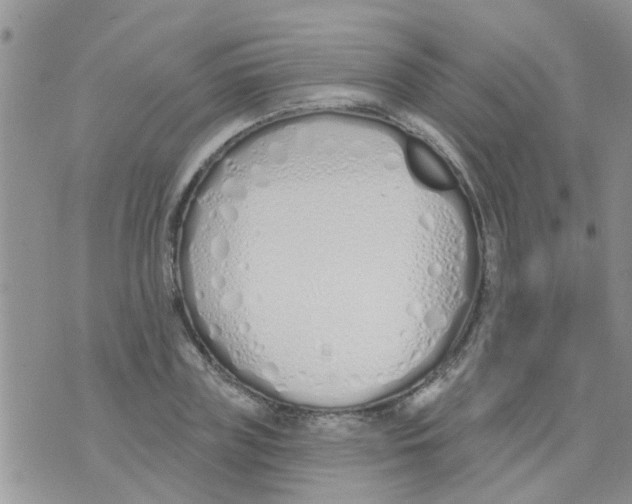 X0000073930835200609082301