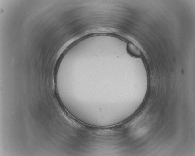 X0000073930837200609082301