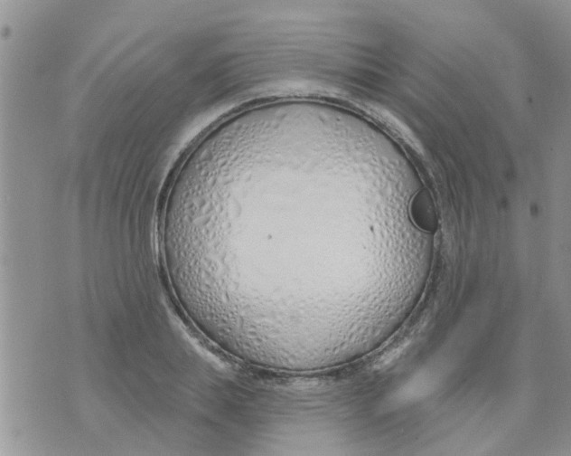 X0000073930839200609082301