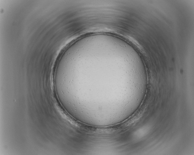 X0000073930840200609082301