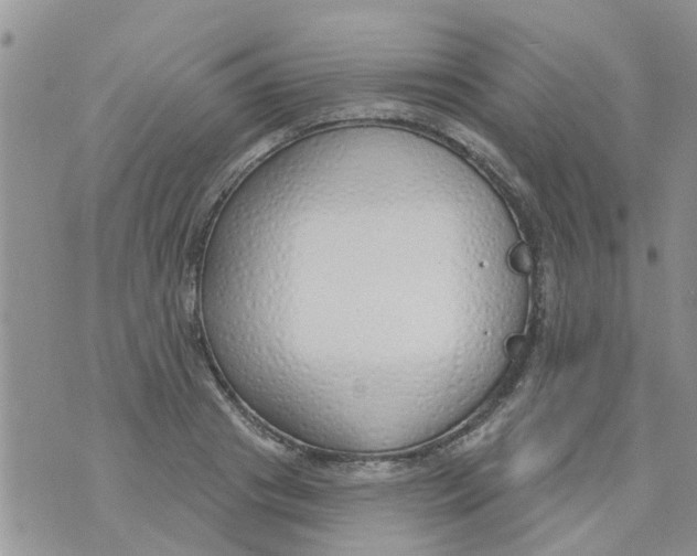 X0000073930841200609082301