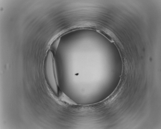 X0000073930842200609082301