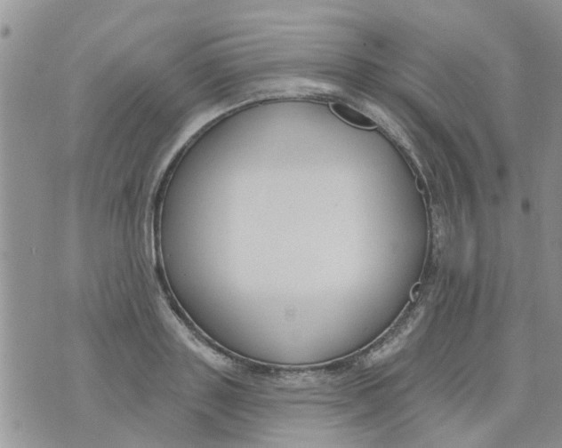 X0000073930843200609082301