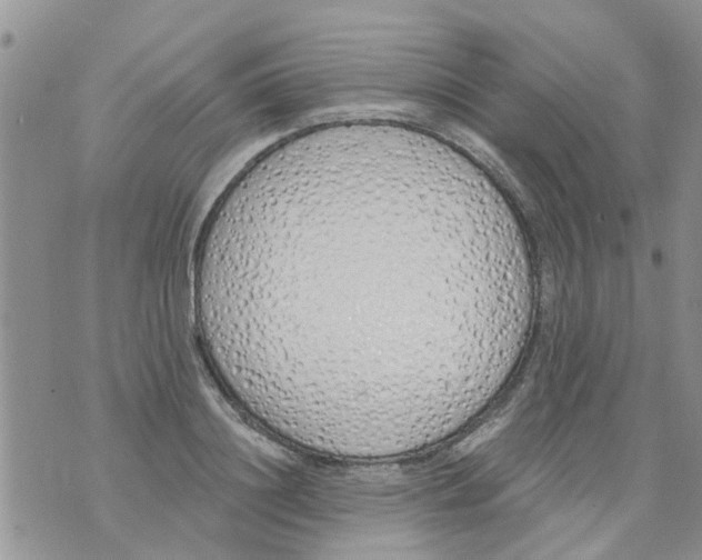 X0000073930844200609082301