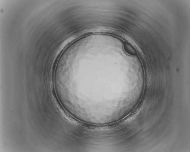 X0000073930845200609082301