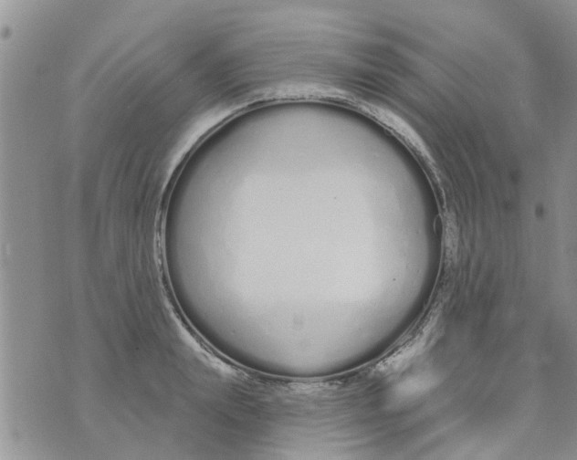 X0000073930847200609082301