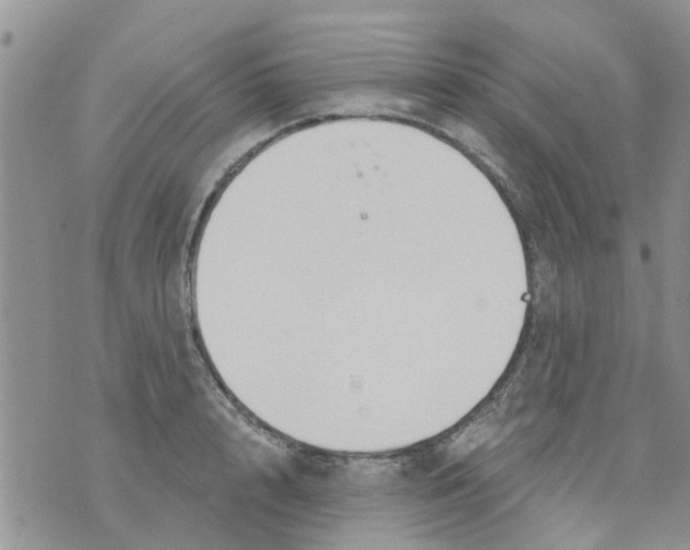 X0000073930848200609082301