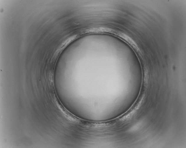 X0000073930849200609082301