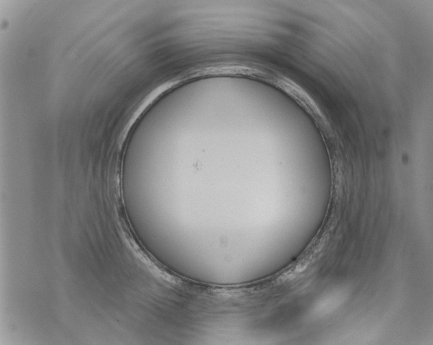 X0000073930852200609082301