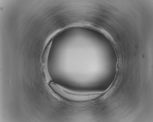 X0000073930854200609082301