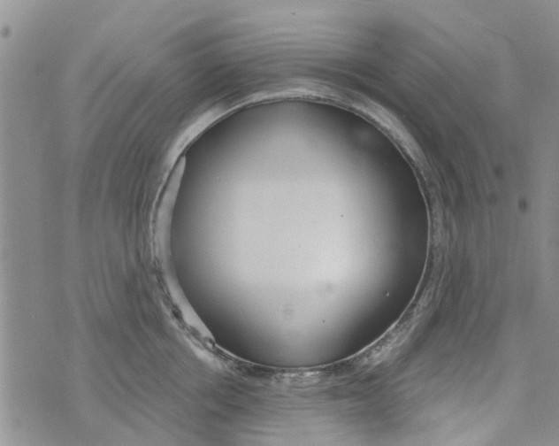 X0000073930858200609082301