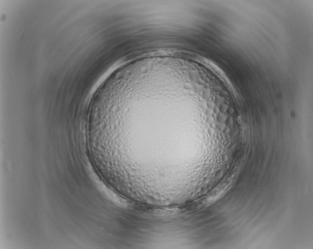 X0000073930859200609082301