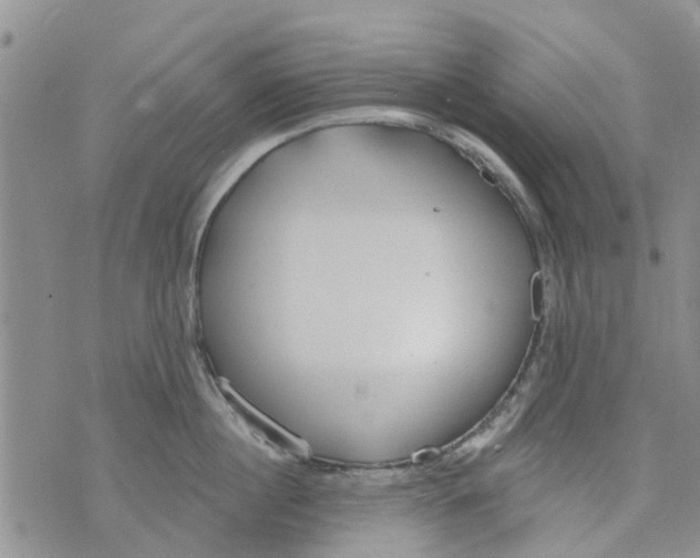 X0000073930860200609082301