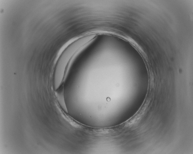 X0000073930862200609082301