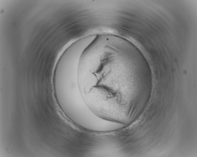 X0000073930864200609082301