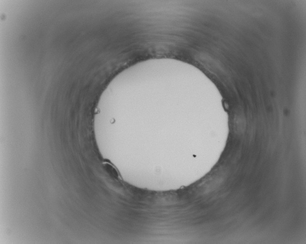 X0000073930865200609082300