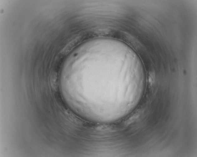 X0000073930867200609082300