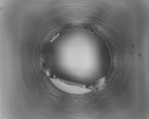 X0000073930868200609082300