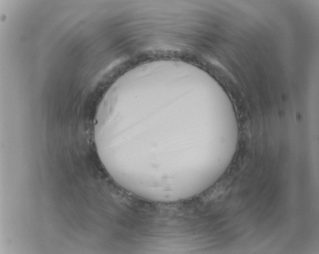 X0000073930870200609082300