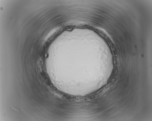 X0000073930871200609082300