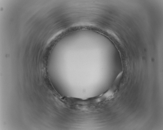 X0000073930872200609082300