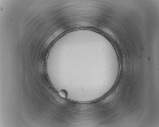 X0000073930873200609082300