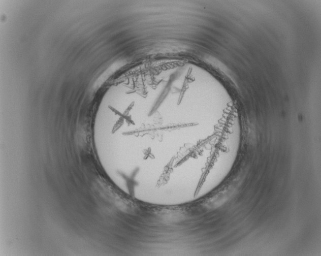 X0000073930874200609082300