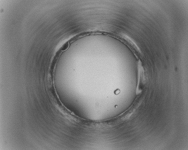 X0000073930876200609082300