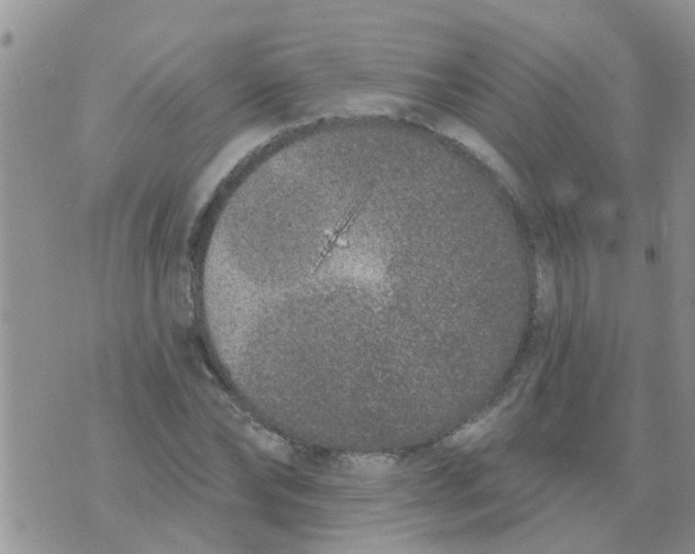 X0000073930878200609082300