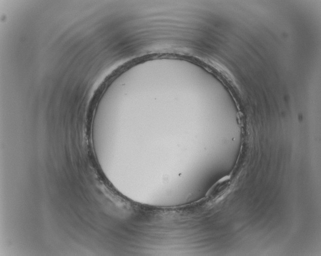 X0000073930880200609082300